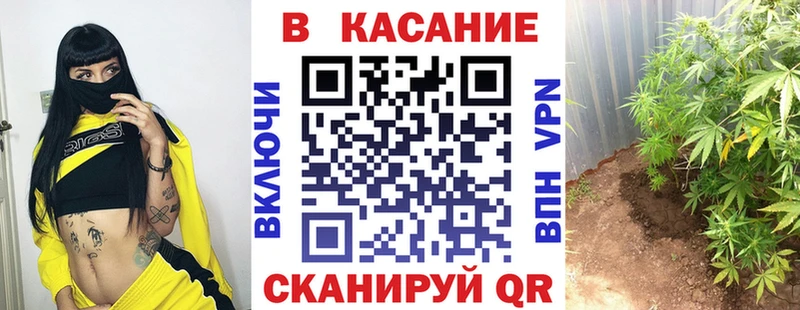 Магазин наркотиков Сосновый Бор МАРИХУАНА LSD-25 АМФ Alpha PVP Псилоцибиновые грибы Cocaine Гашиш МЕФ