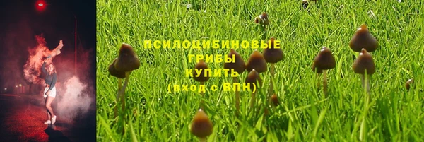бошки Лихославль