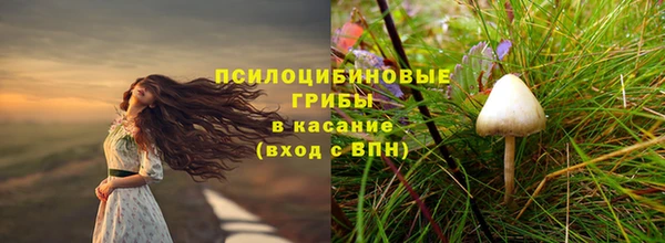 бошки Лихославль