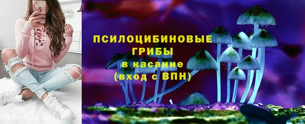 бошки Лихославль